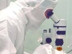 Pengalaman Cara Mengatasi dan Sembuh Psikosomatik dan Panic Attack Tanpa Obat atau Terapi Psikologis