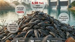 Jakarta Basmi Ikan Sapu-Sapu Spesies Invasif